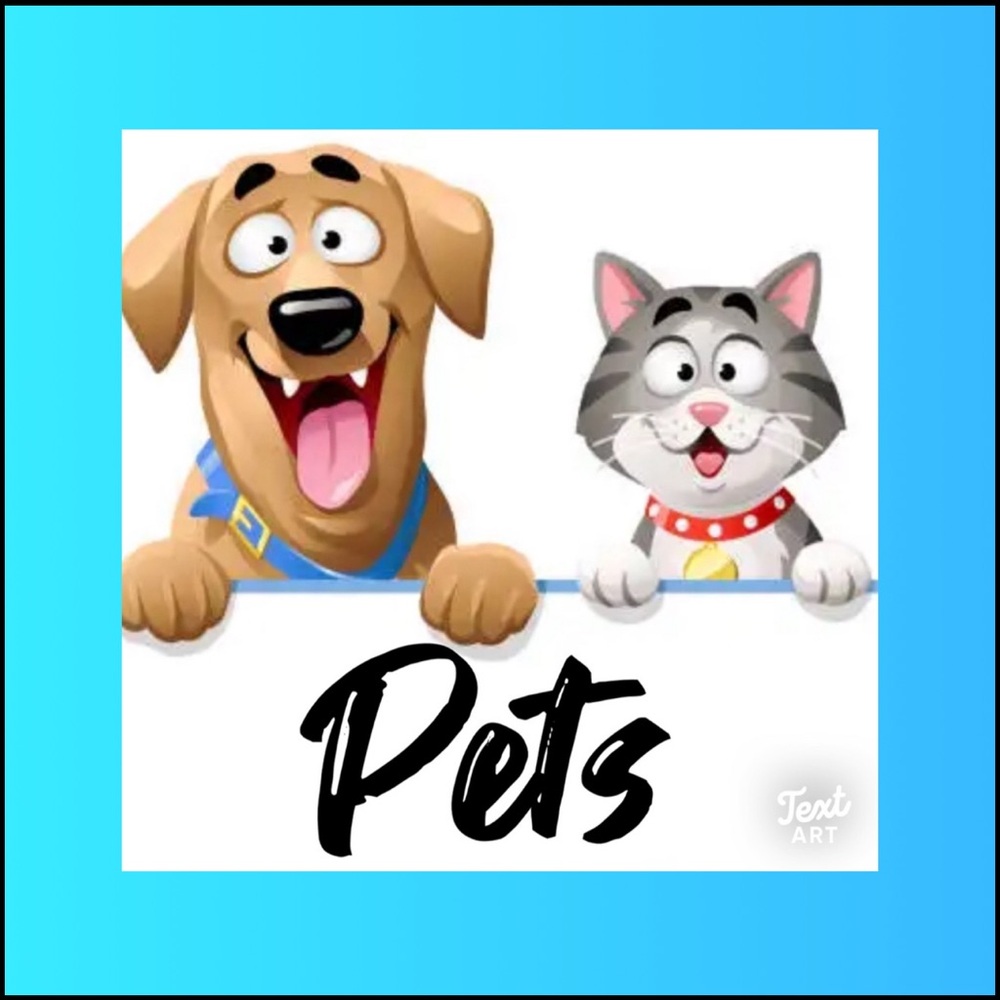 Pets Items for Sale